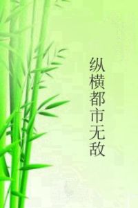 縱橫都市無敵 縱橫都市無敵