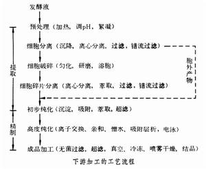 生化分離工程 生化分離工程