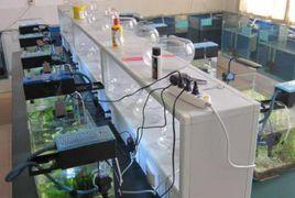 水族科學與技術 水族科學與技術