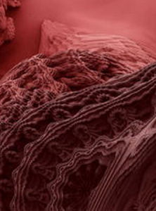 地質構造 地質構造