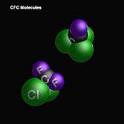 CFC 分子
