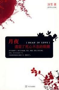 月夜遺留了死心不息的眼睛