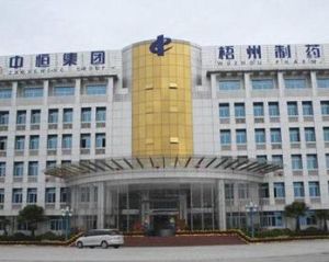 中恆集團 中恆集團