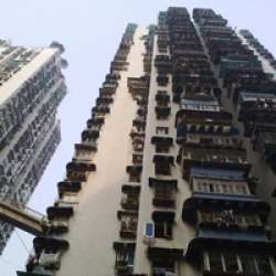 鑫龍花園 鑫龍花園