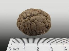 縉雲縣筧川香菇市場 縉雲縣筧川香菇市場