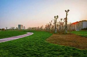 襄陽紫貞公園 襄陽紫貞公園