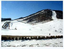 神龍架滑雪場 神龍架滑雪場
