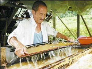 毛竹造紙 毛竹造紙