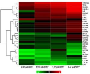 基因表達譜 基因表達譜