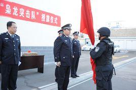 梟龍突擊隊 梟龍突擊隊