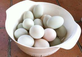 醃泡五香鹽蛋 醃泡五香鹽蛋