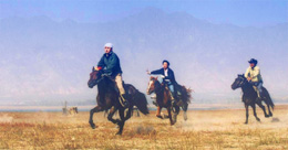 馬的習性與馬的品質 馬的習性與馬的品質