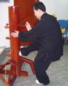 詠春拳木人樁功