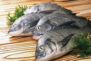 魚膽中毒 魚膽中毒