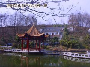 黑水虻公園 黑水虻公園