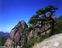 華南褶皺系 華南褶皺系