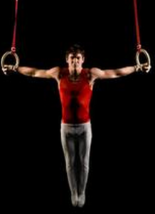 競技體操男子吊環 競技體操男子吊環
