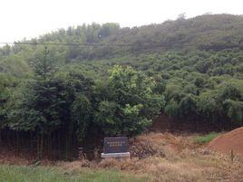 德清原始瓷窯址 德清原始瓷窯址