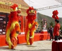 沈丘回族文獅舞