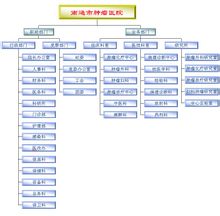 南通市腫瘤醫院組織架構