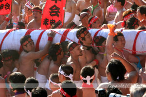 （圖）日本國府宮裸祭