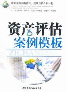 資產評估案例模板 資產評估案例模板
