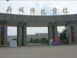 麻城博達學校 麻城博達學校