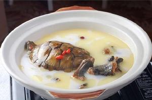 龜蛇大補湯 龜蛇大補湯