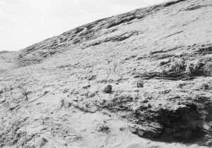 城四家子城址 城四家子城址