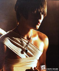 七損八傷 七損八傷