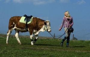 現在麗賈娜和露娜已經成為了最好的朋友