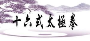 十六式太極拳 十六式太極拳