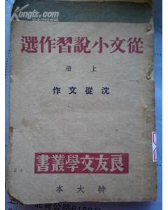 《從文小說習作選》