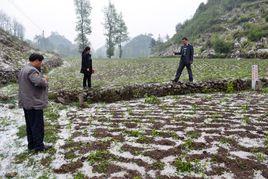 金鐘鎮[甘肅省漳縣金鐘鎮]