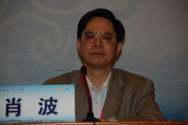 肖波[衡山市公安局禁毒支隊總支委員、政秘科長]