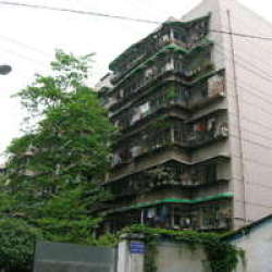 成華街7號 成華街7號