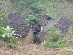 白地廠自然村 白地廠自然村