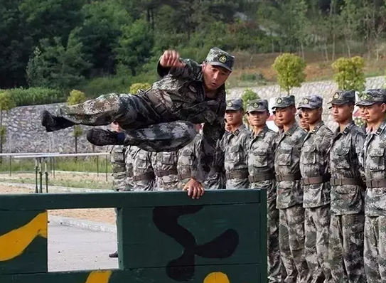 網路配圖 網路配圖