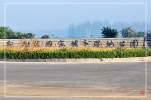 稻屯窪國家濕地公園 稻屯窪國家濕地公園