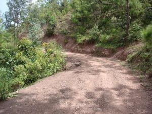 小尾臘村 小尾臘村