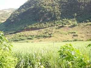 大窪子山自然村