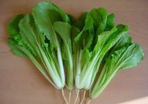 四季小白菜 四季小白菜