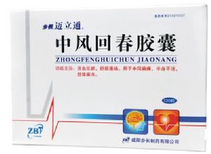 中風回春膠囊 中風回春膠囊