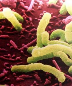 幽門螺旋桿菌陽性