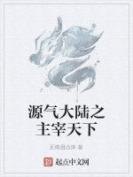 源氣大陸之主宰天下 源氣大陸之主宰天下