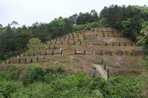 菱塘村[雲南省紅河州瀘西縣下轄村]