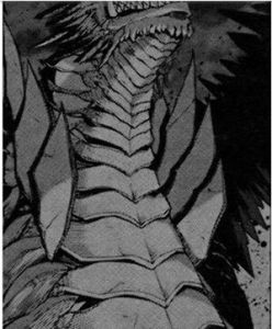 伊路亞尼卡 伊路亞尼卡