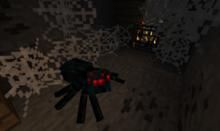 洞穴蜘蛛和它的刷怪箱