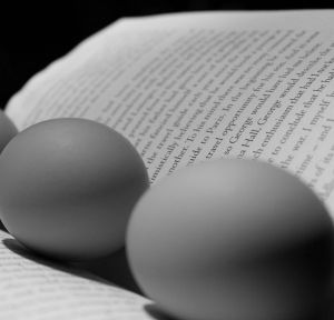 精神食糧 精神食糧