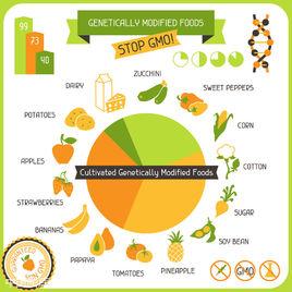 食品成分分析 食品成分分析